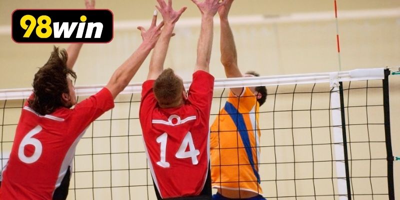 Chiến thuật cược bóng chuyền dành cho tân thủ