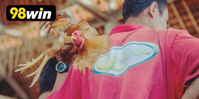 Điểm nổi bật hấp dẫn tại sảnh đá gà 98WIN