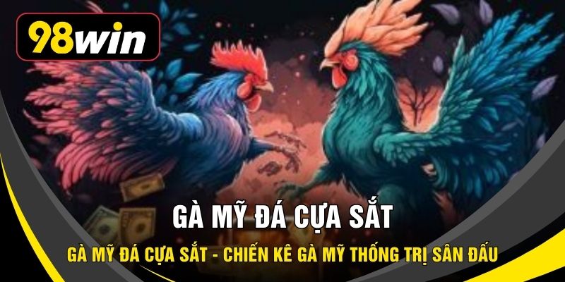 Gà Mỹ Đá Cựa Sắt - Chiến Kê Gà Mỹ Thống Trị Sân Đấu